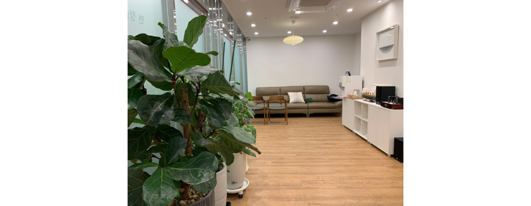 서울 양천구 불면증 정신과