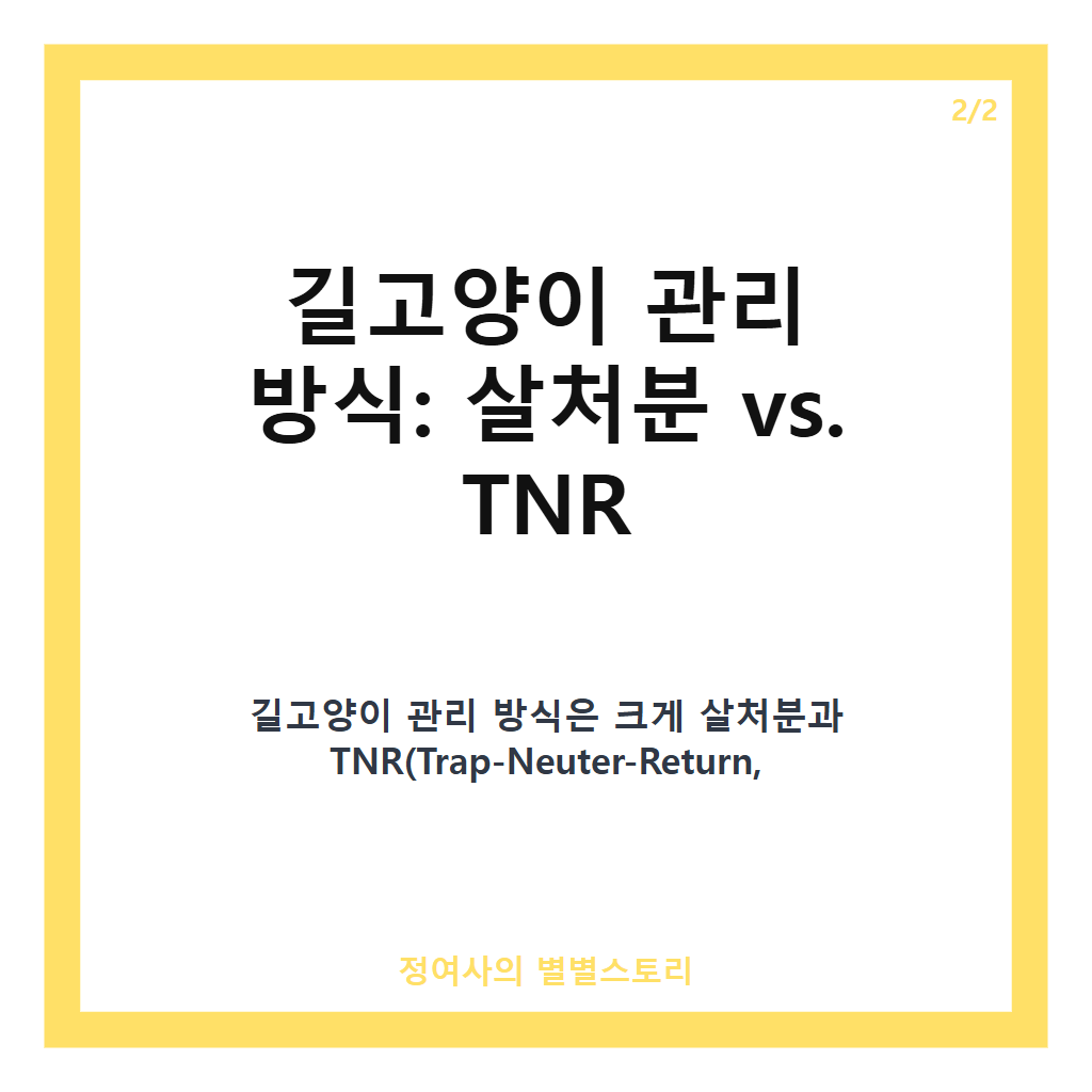 길고양이 vs. 새 뉴닉 에디터 조가 알아본 &lsquo;길고양이 살처분 논쟁&rsquo;의 핵심과 관리 대안 분석 카드뉴스 3