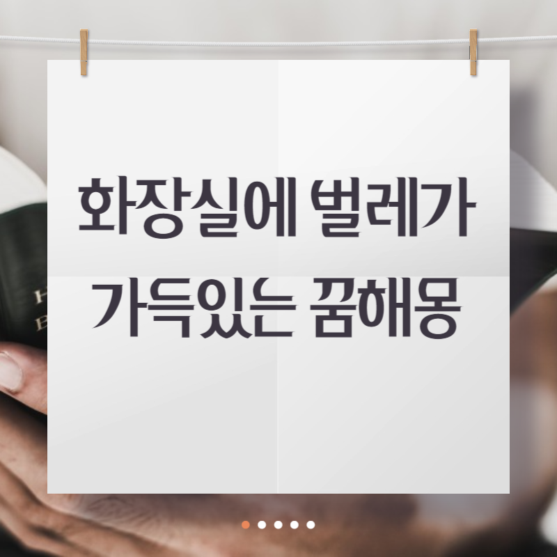 화장실에 벌레가 가득있는 꿈해몽
