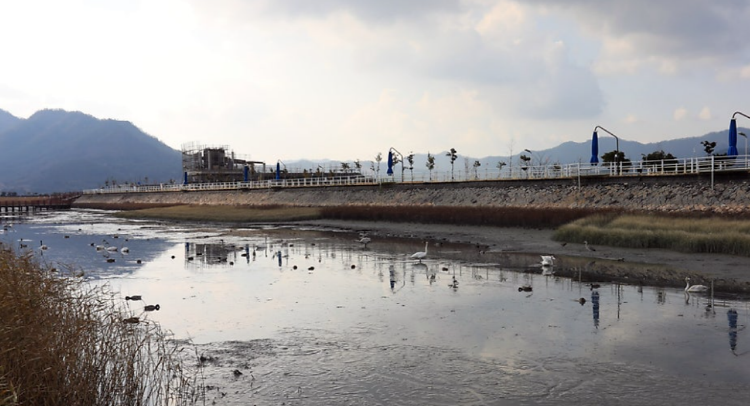 강진만 생태공원