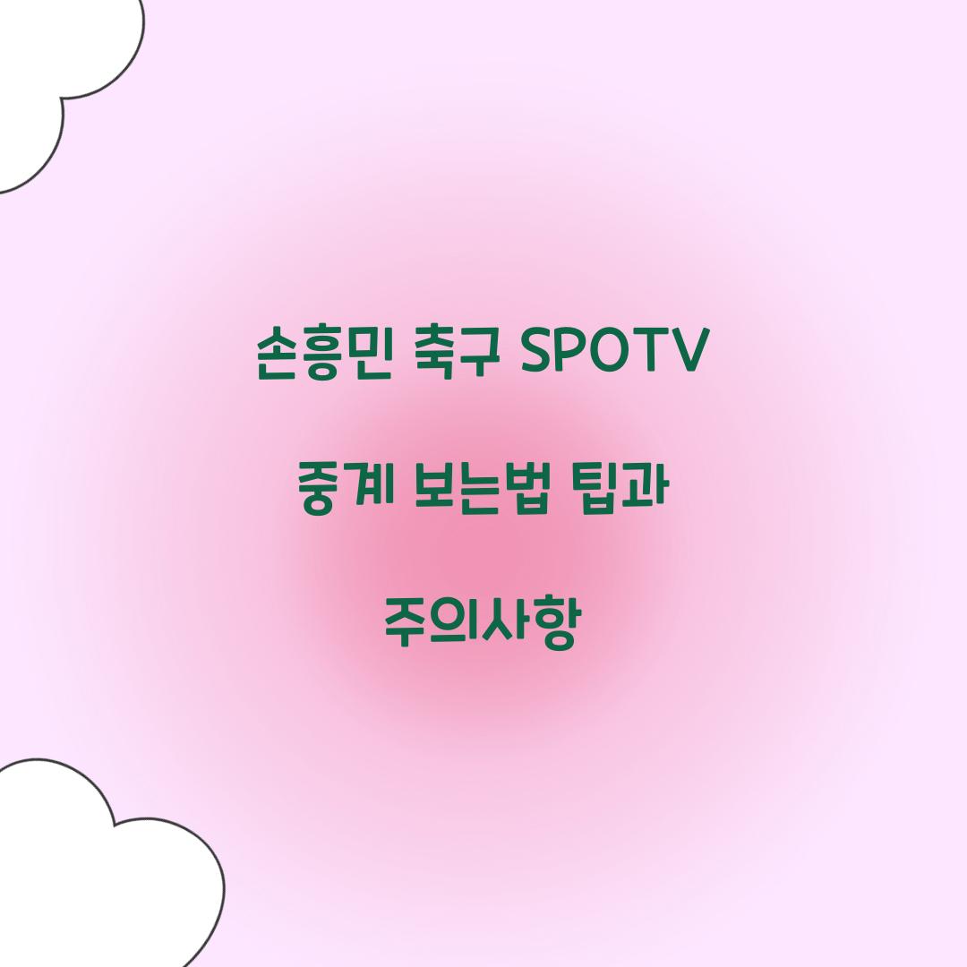 손흥민 축구 SPOTV 중계 보는법