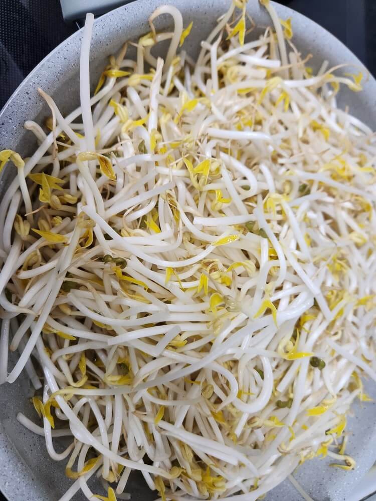 숙주 데치기