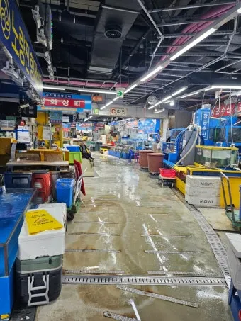 가락시장 맛집 회센터 수산시장 꽃게_21