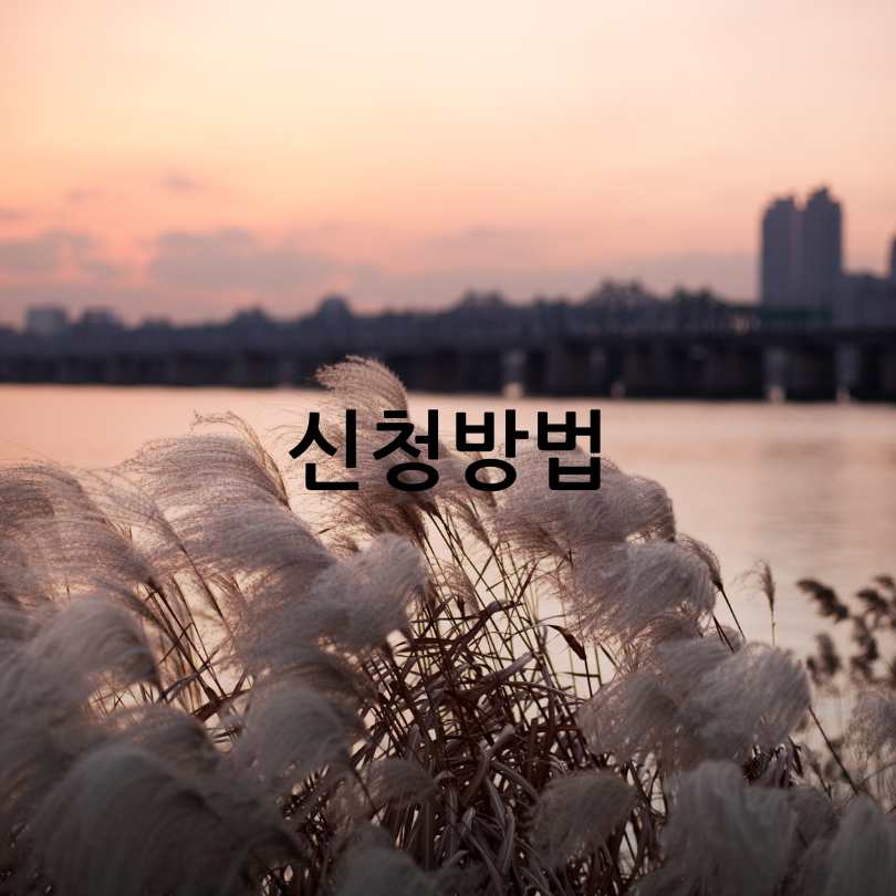 2025 한강 멍때리기 대회 신청 방법과 꿀팁