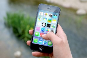 직장가입자 건강보험료