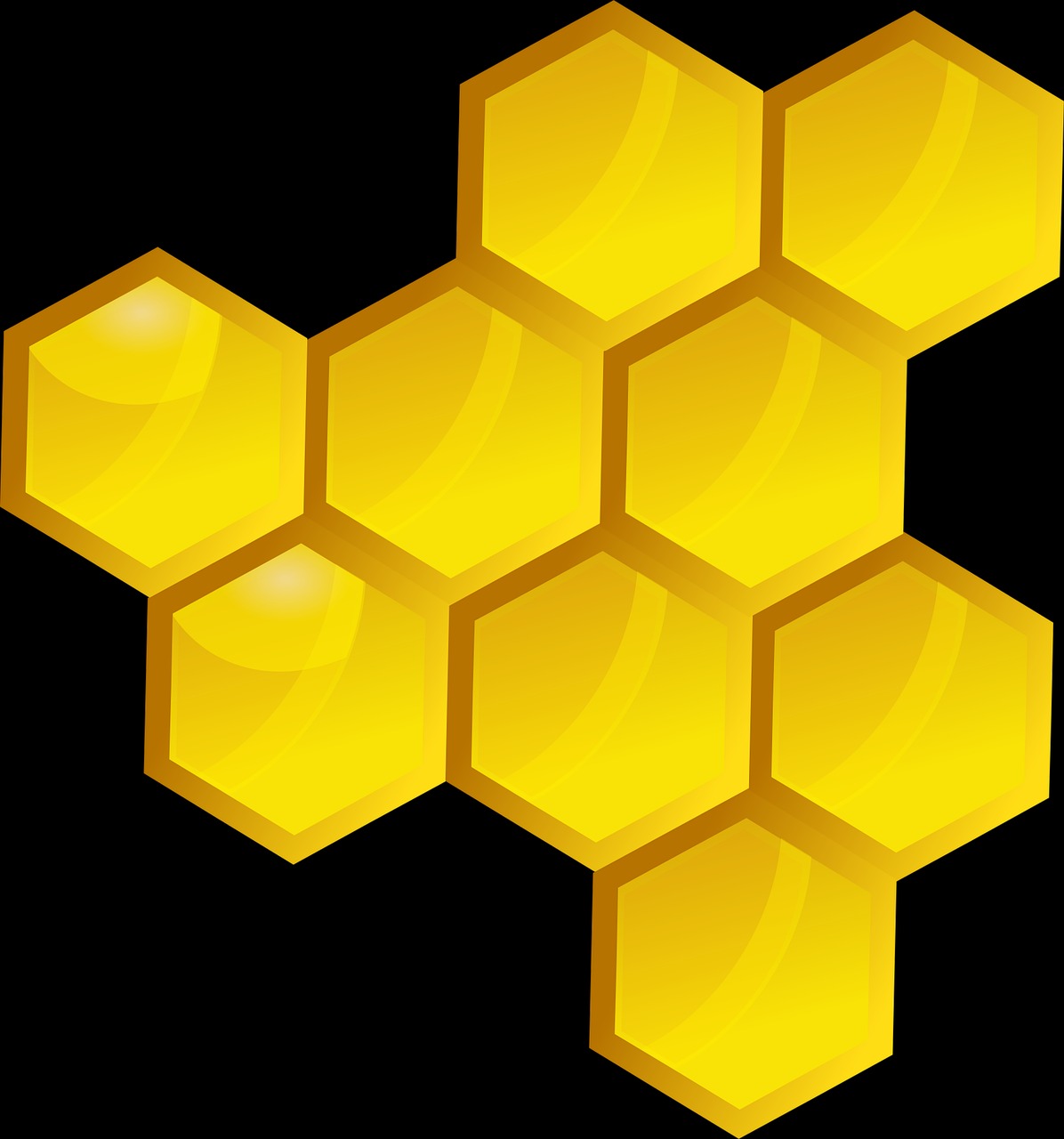 프로폴리스-효능-후기-기관지