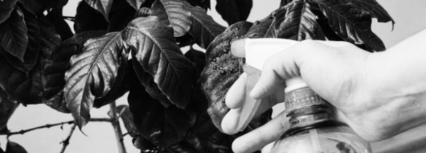 적정 실내습도 조절 방법 ② 워터 스프레이