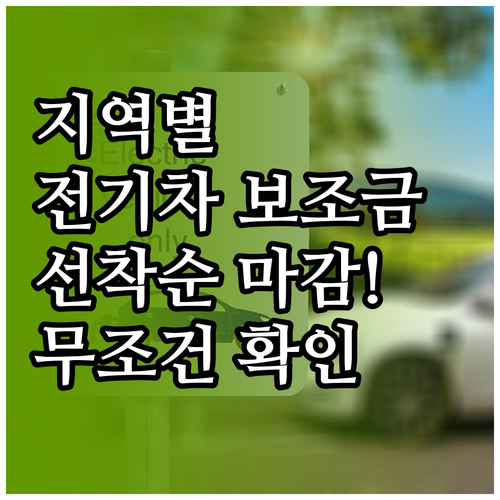 지역별 전기차 지방 보조금 확인하기 ..