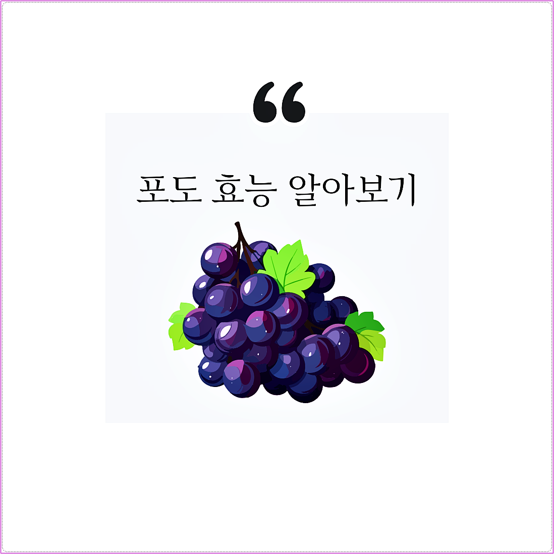 포도 효능