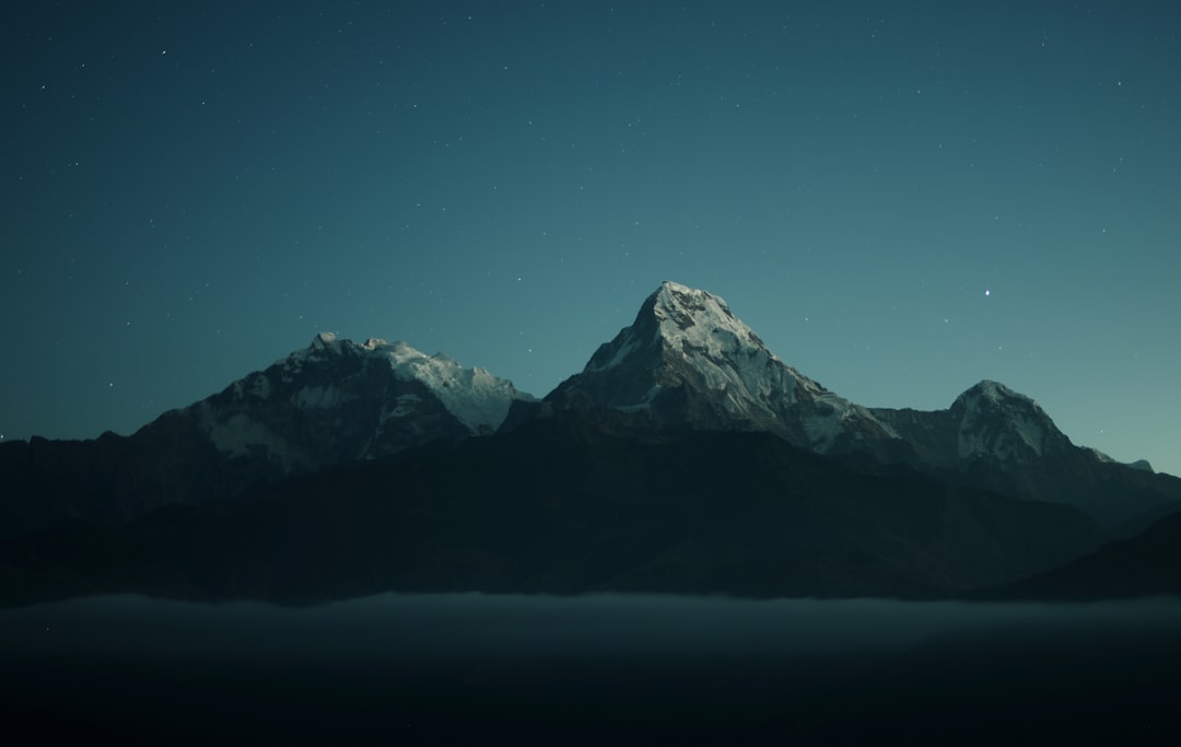 Wallpaper