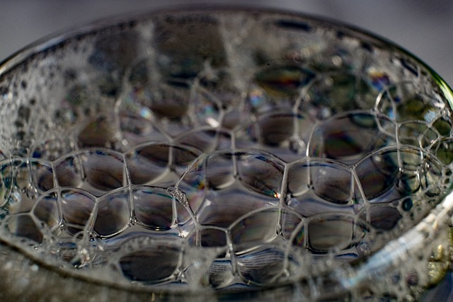 러브 버그 퇴치법&amp;#44; 차량부터 집까지 안전하게 대처하는 실전 가이드1