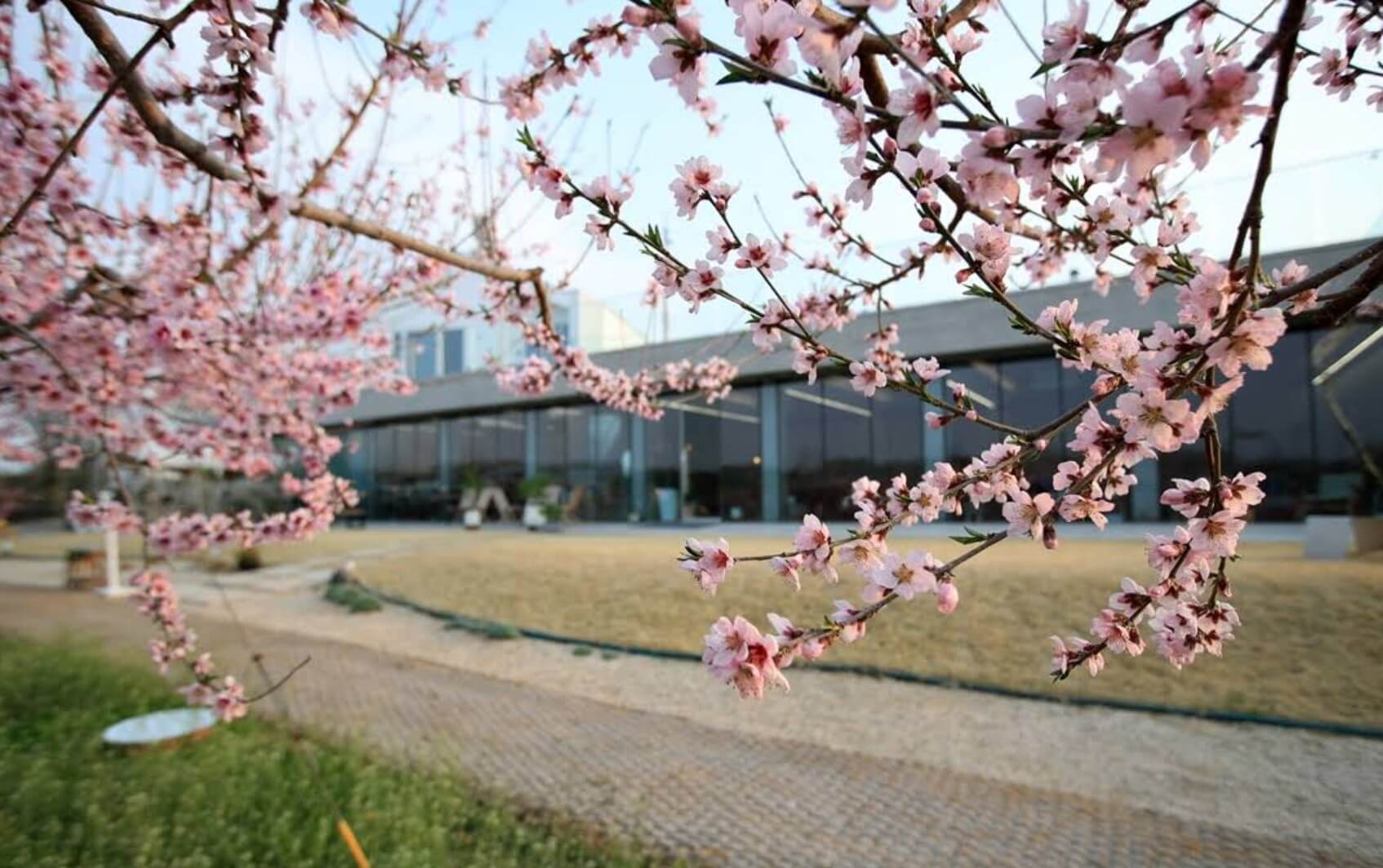 도화지 카페 전경