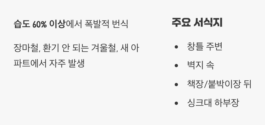 우리 집에 왜 나타났을까요?