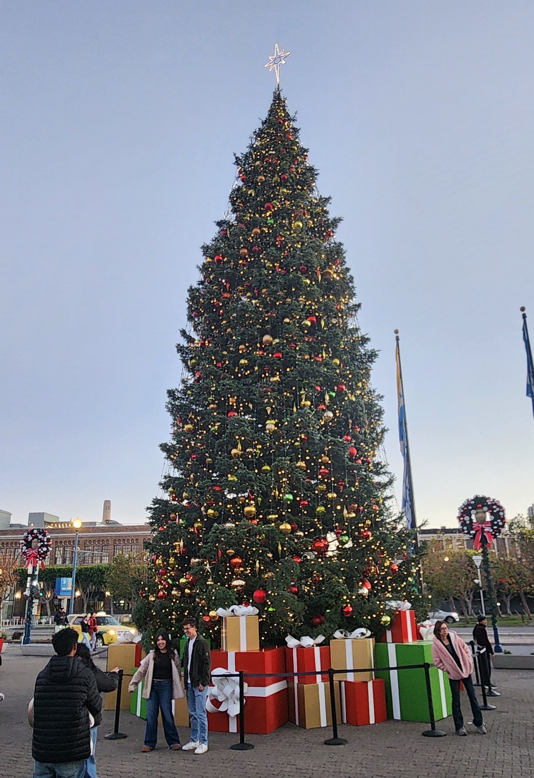 샌프란시스코 부두가에 설치되어있는 대형 트리의 모습입니다.