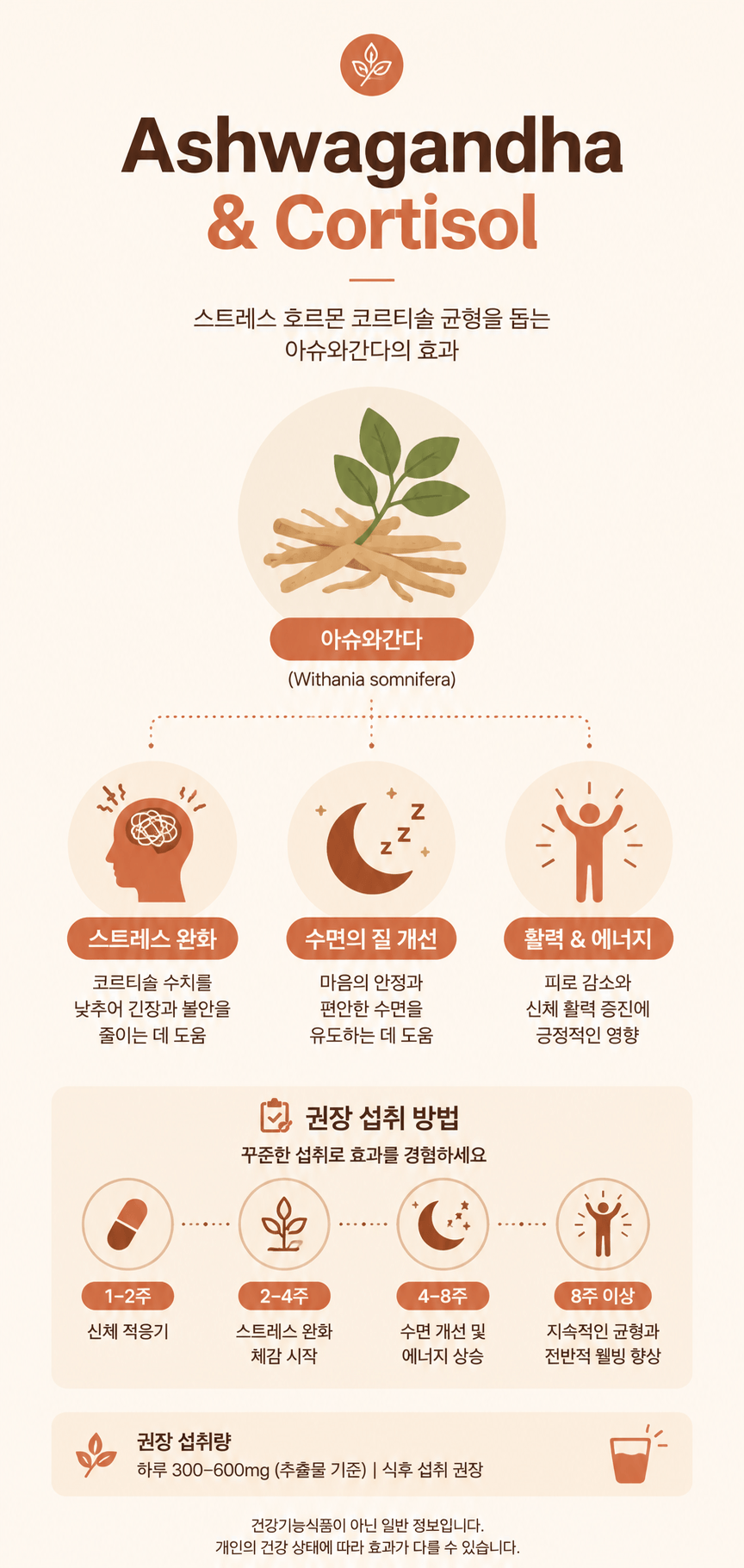아슈와간다 효능과 안전한 섭취량 정리 인포그래픽