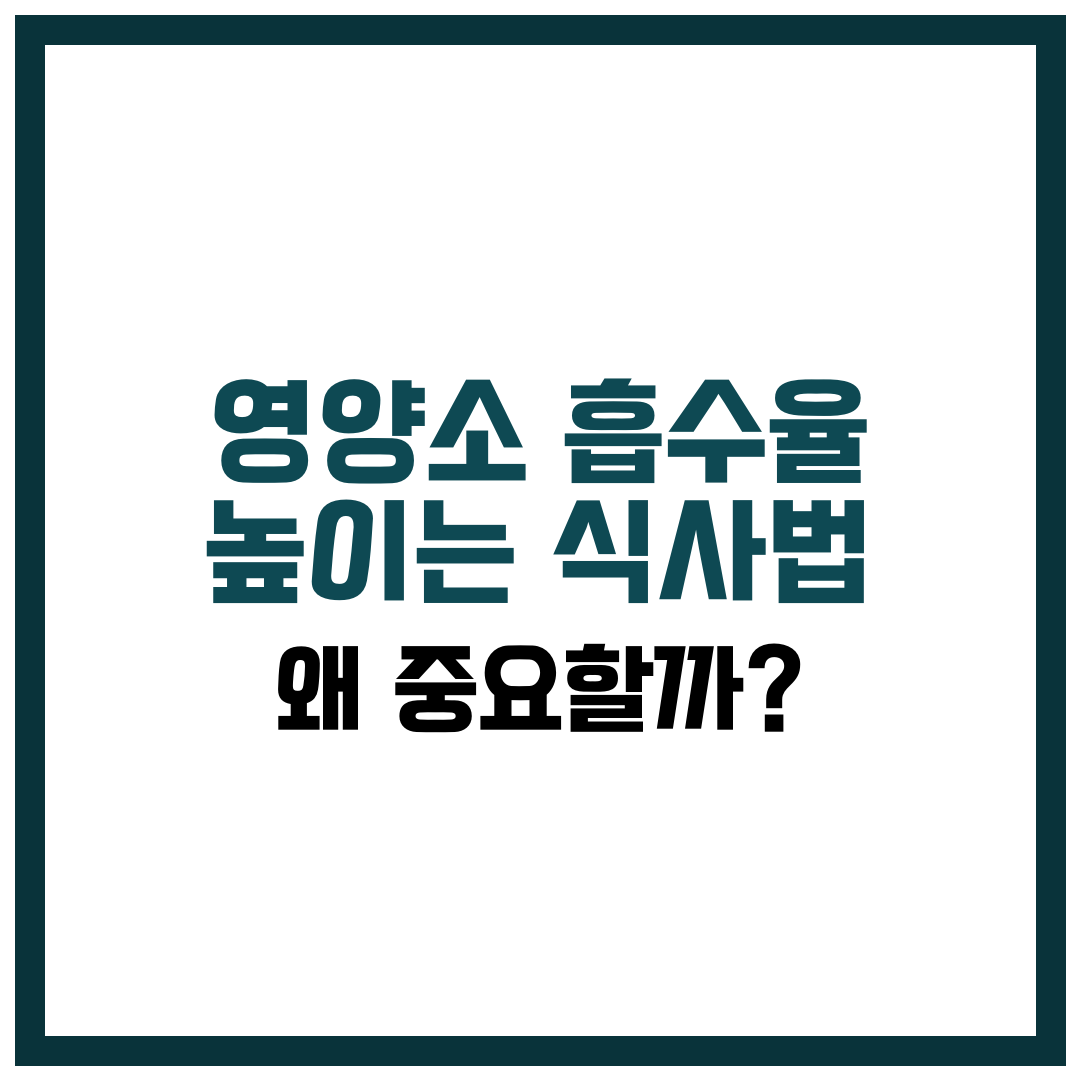 영양소 흡수율 높이는 식사법