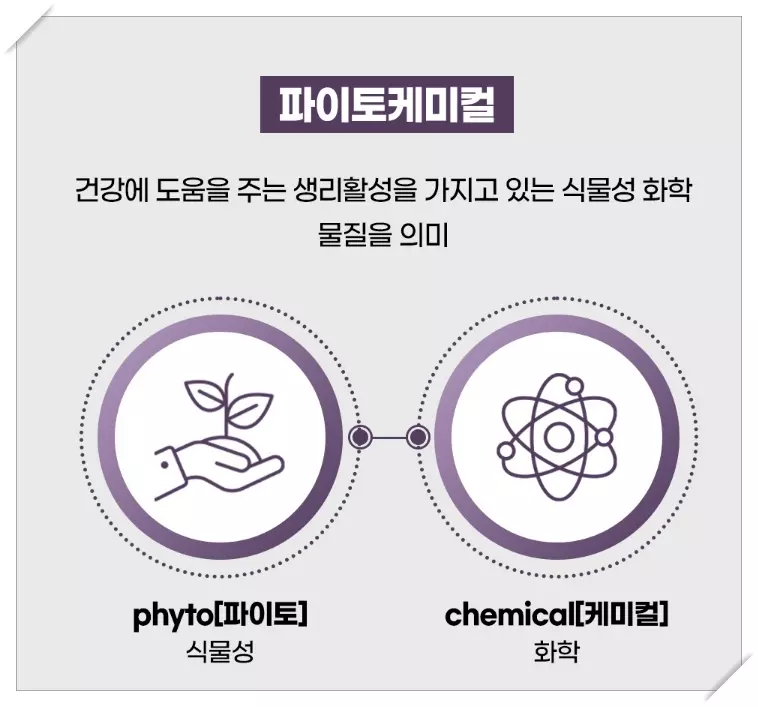 웰리오 퀘르세틴 파이토케미컬이란