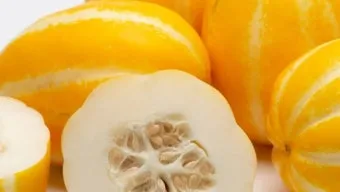 참외 효능 및 영양 정보 섭취 효과 정리_19