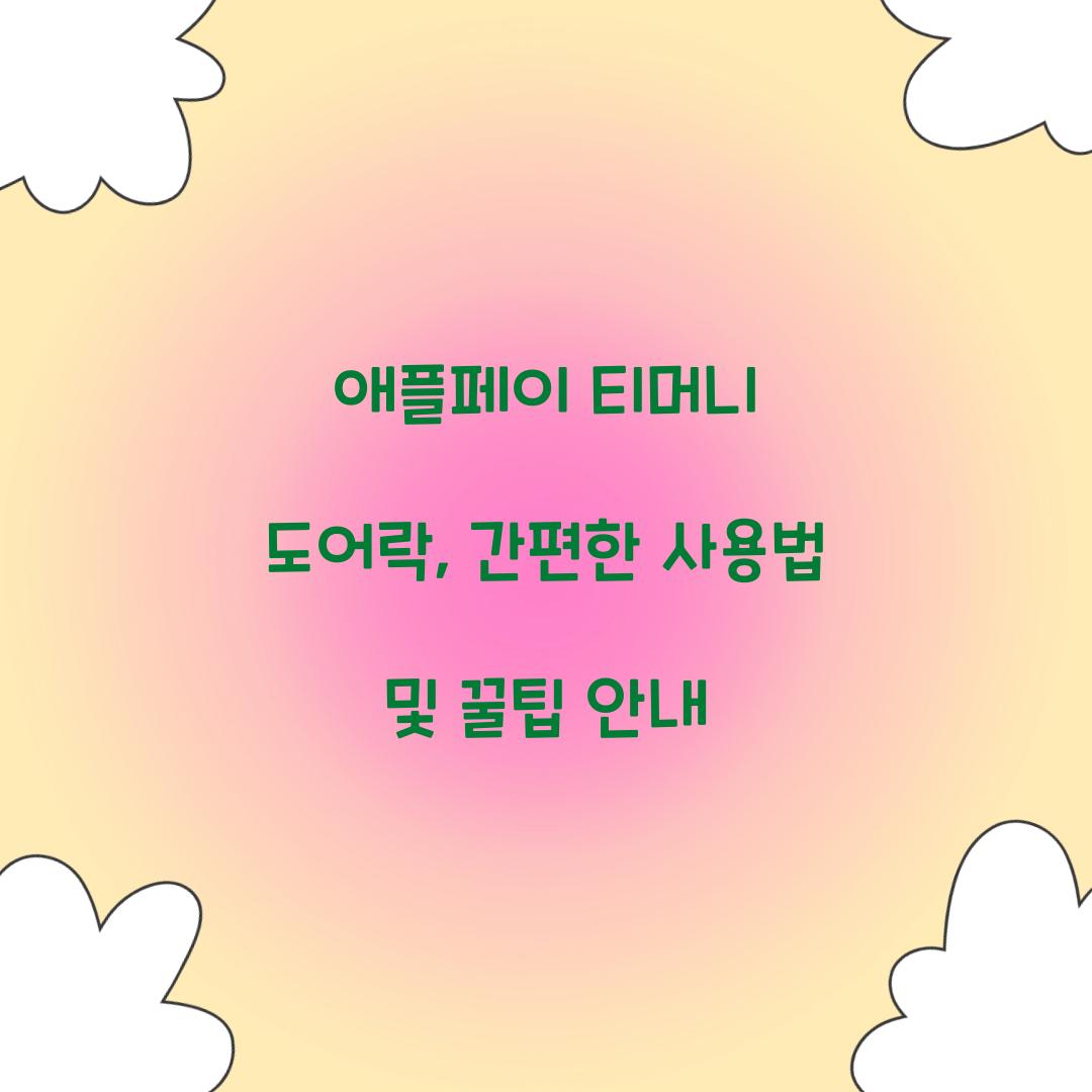 애플페이 티머니 도어락