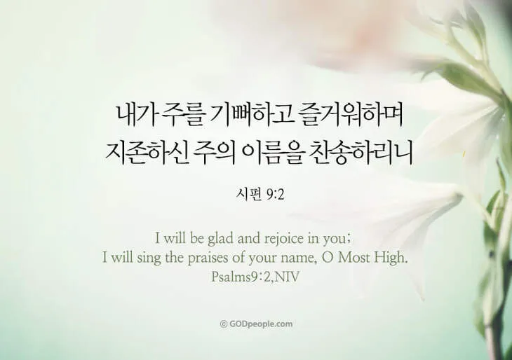 시편 91장 11절 읽기 - 그가 너를 위하여 그의 천사들을 명령하사_5