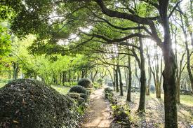 4월 제주도 가볼만한 곳 10곳