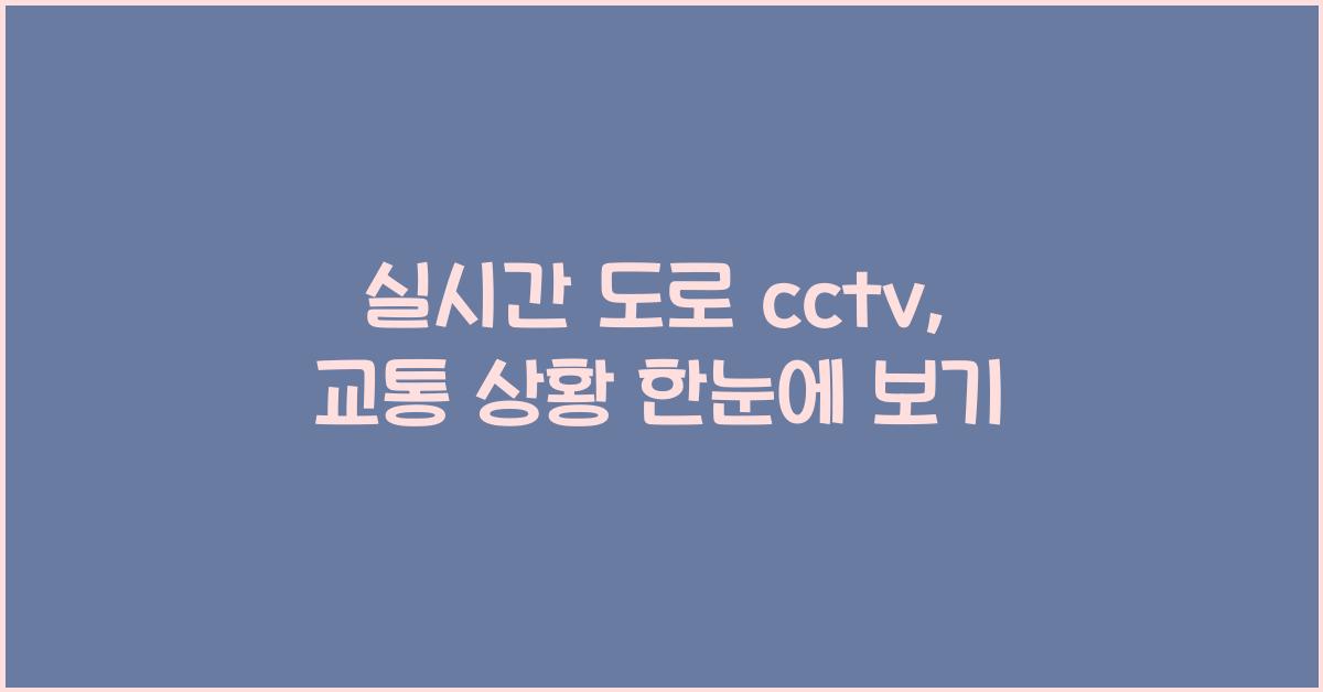 실시간 도로 cctv