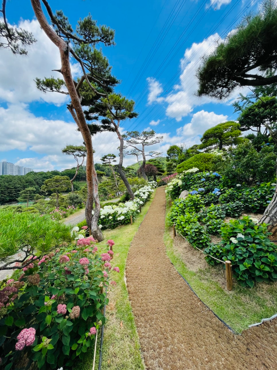 특색있고 아름다운 민간 정원 30선 추천 여행 - 07. 청주 공간정원