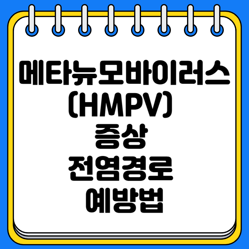 메타뉴모바이러스(HMPV) 증상 전염경로 예방법