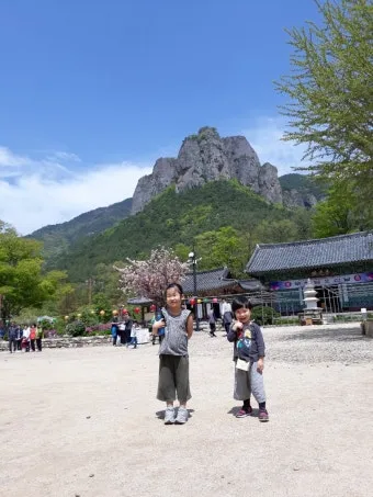 청송 주왕산 여행 코스 폭포 산책 주차 가을 단풍 포인트_23