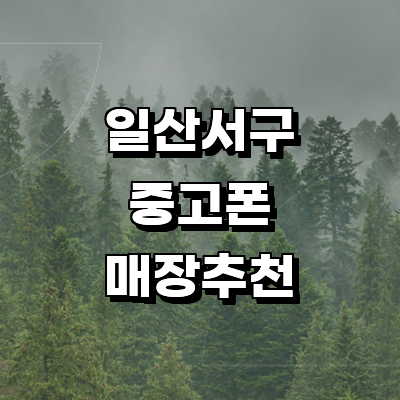 고양 일산서구 중고폰