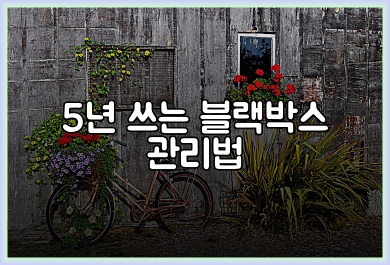 5년 쓰는 블랙박스 관리법