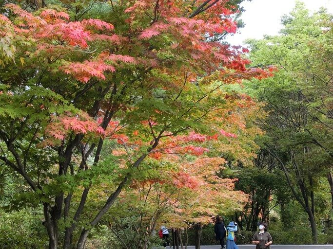 경북 상주 경천대