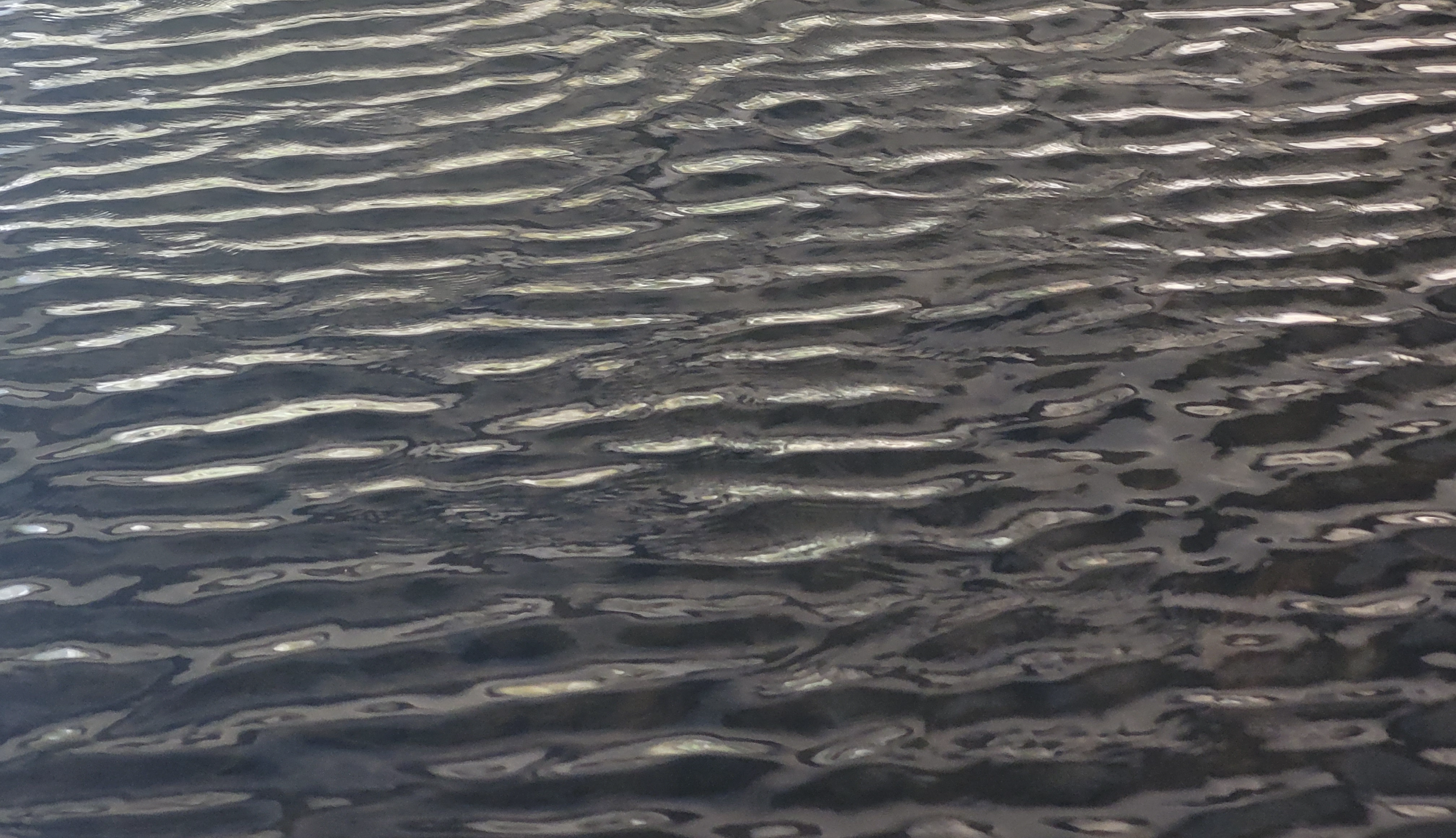 오늘의 빠르게 걷기 운동 장소