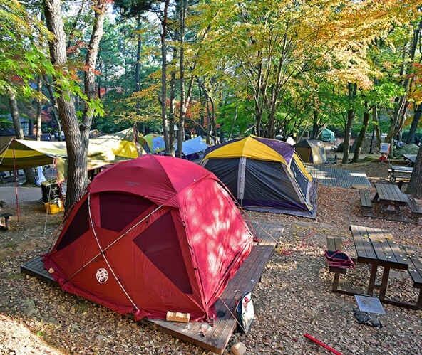 영암 가볼만한곳 베스트 10