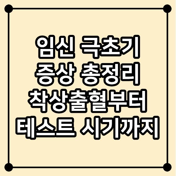 임신 극초기 증상 총정리|착상출혈부터 테스트 시기까지