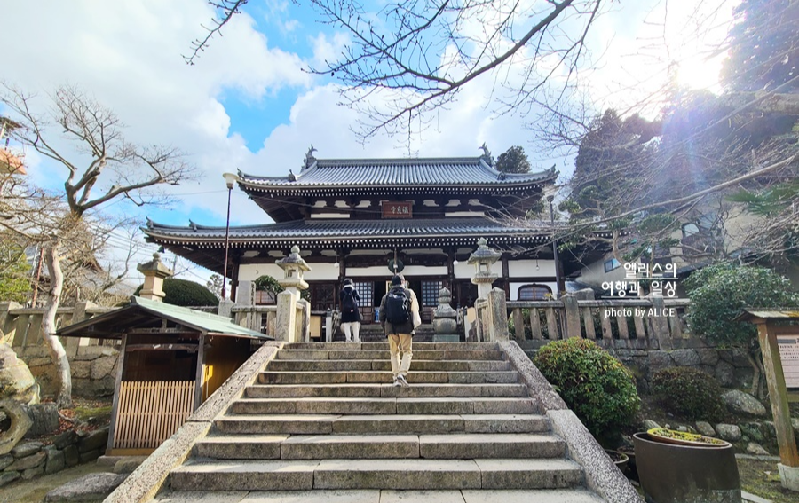아고다 2월 호텔 할인코드 정리 누구나 7% 할인코드 (~12.31) 오사카 여행 필수교통패스