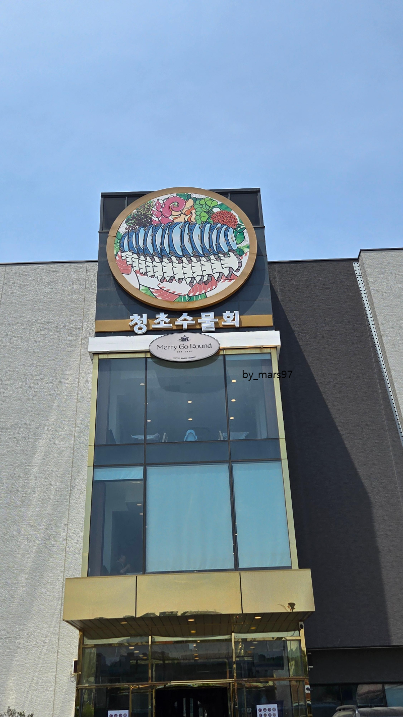 속초-청초수물회