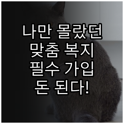 정부가 찾아주는 맞춤형 복지 서비스 ..