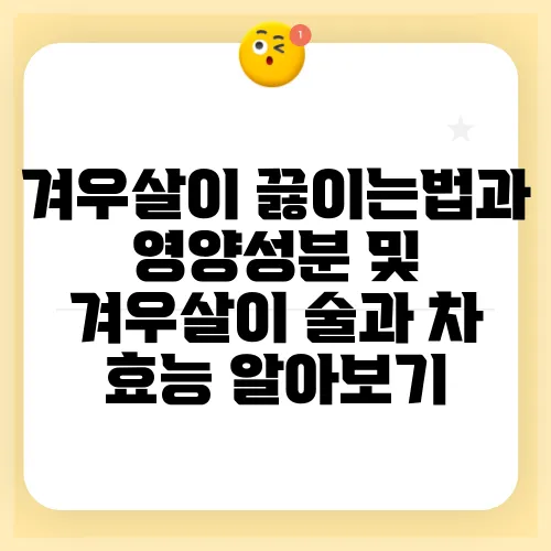 겨우살이 끓이는법과 영양성분 및 겨우살이 술과 차 효능 알아보기