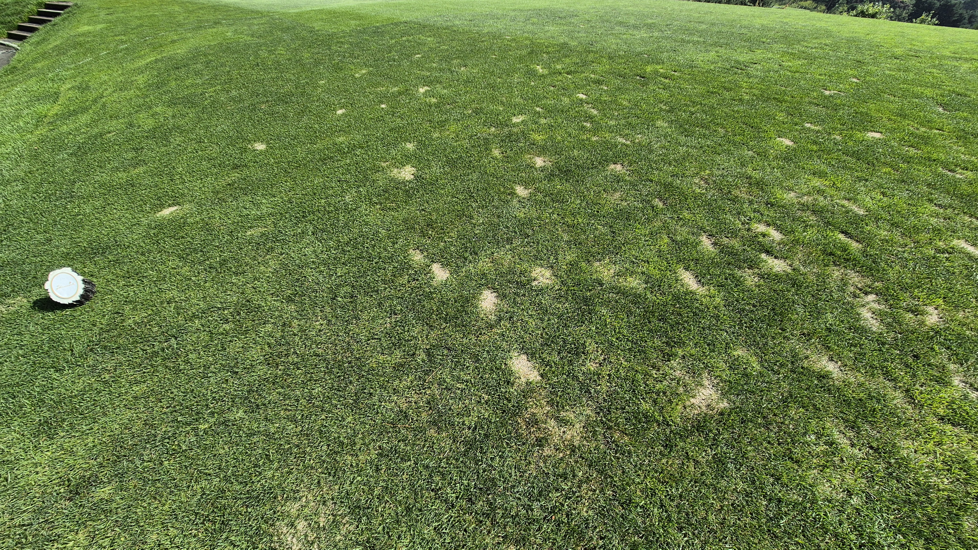 샤인데일cc 라운드 후기