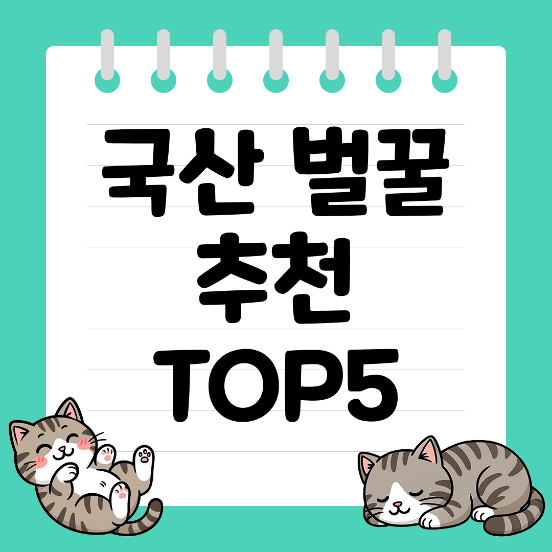 자연의 달콤함이 살아있는 프리미엄 국산 벌꿀 추천 순위 TOP5