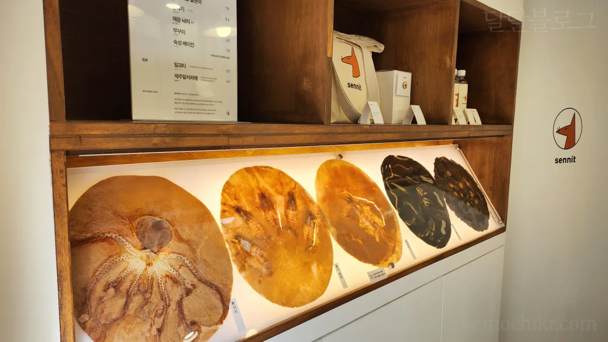 제주도-센잇-화석과자