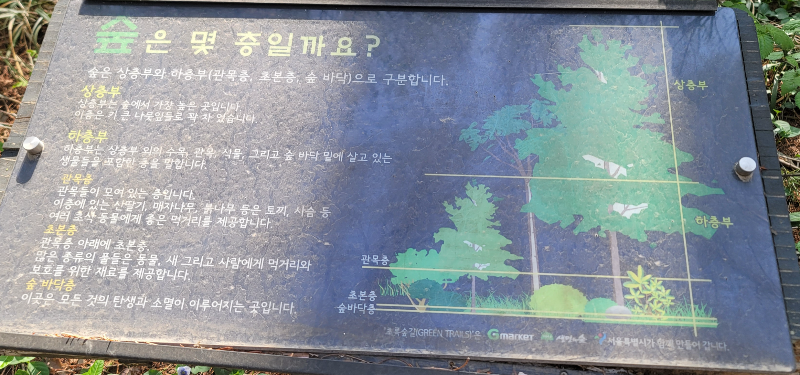 숲은 몇 층일까요?