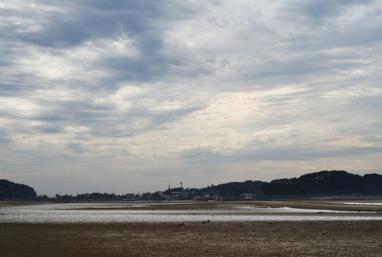 신두리해수욕장