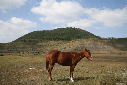 제주도 가볼만한곳 10곳