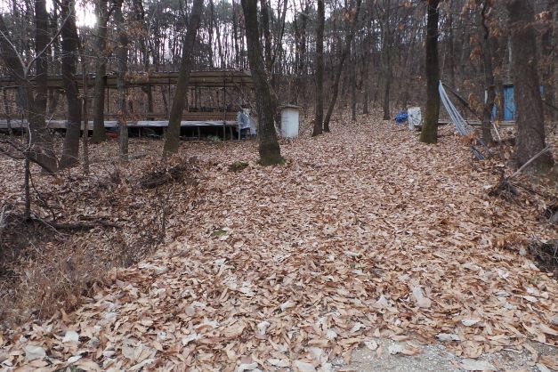 갈잎에 쌓인 실종된 신길