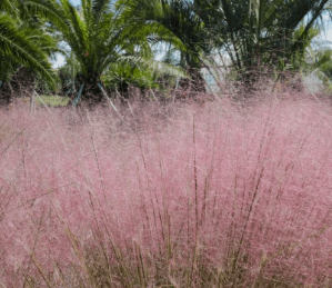 가을여행 단풍 기차여행 추천
