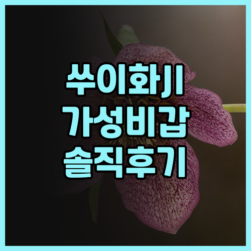 가성비 최고 쑤이화 호텔은 여기! J