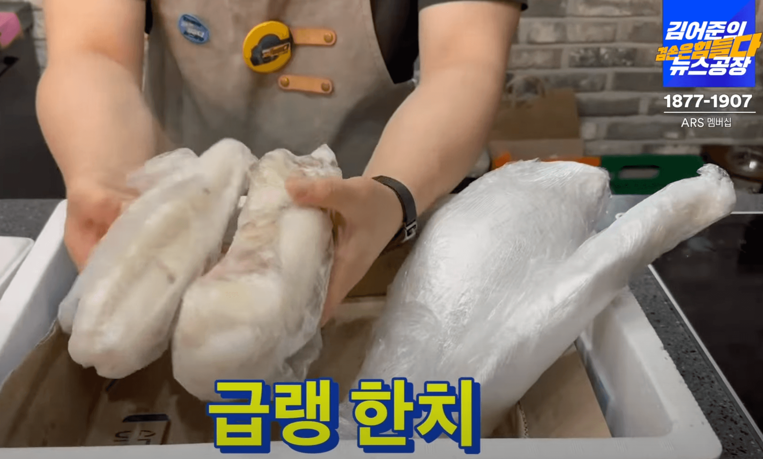 급랭-한치
