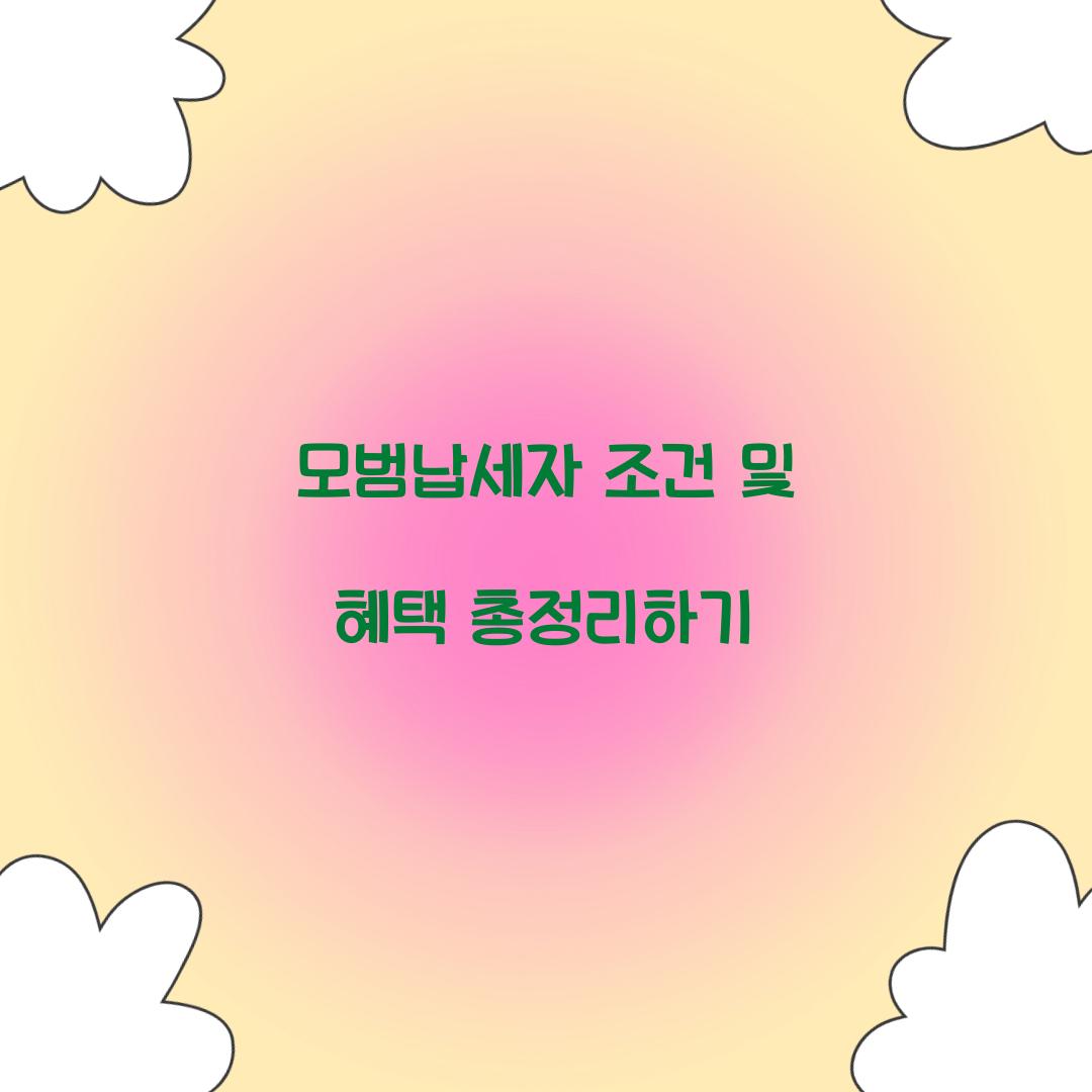 모범납세자 조건